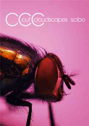 .cut / Cloudscapes / S.Cibo - CCC