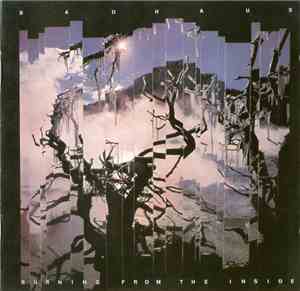 Bauhaus - Burning From The Inside