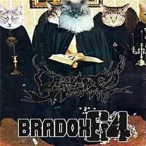 Creditcard Salesman / Bradox64 - Catanic Breaks