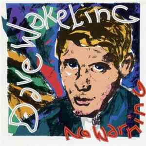 Dave Wakeling - No Warning