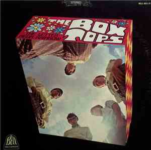 The Box Tops - The Letter / Neon Rainbow