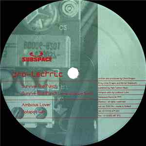 Pro-Lectric - Survive The Punch