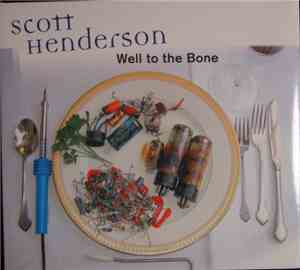 Scott Henderson - Well To The Bone