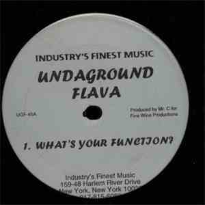 Undaground Flava - What's Your Function?
