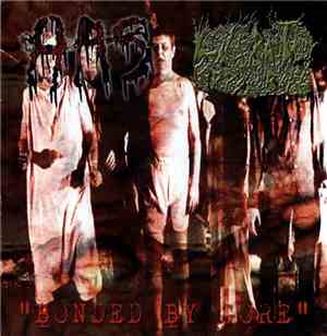 Hemorrhoidal Anal Suffering / Lacerated Corpse Rape - Bonded By Gore