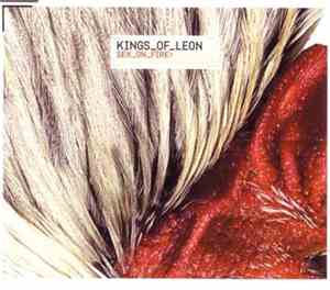 Kings Of Leon - Sex On Fire