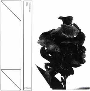 Marble Sky - Low God / Lady