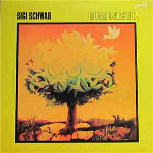 Sigi Schwab - Guitar Selection
