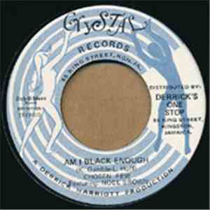 The Chosen Few - Am I Black Enough