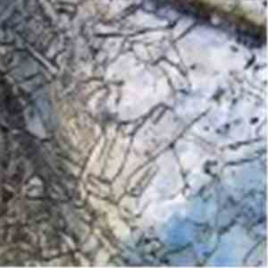 Ben Fleury-Steiner - To Reach The Other Shore