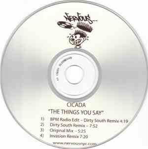 Cicada - The Things You Say