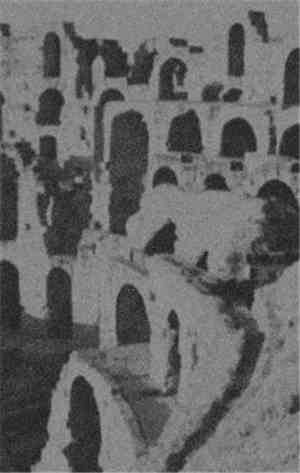Himelvaruwe - CCIII