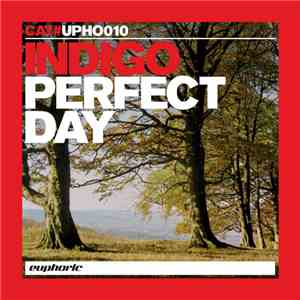 Indigo - Perfect Day