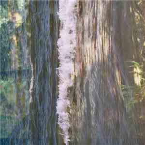 Organelle, Cedar Dreamer - Orgnaelle/Cedar Dreamer