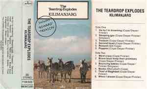 The Teardrop Explodes - Kilimanjaro
