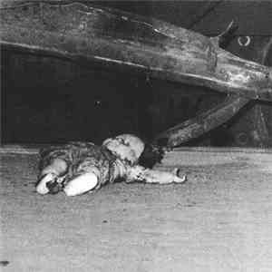 Cicciolina Holocaust / Sermonizer - Albeit Albeit / Sibelius Spiders