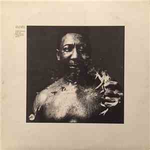 Muddy Waters - After The Rain