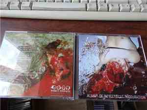 Last Days Of Humanity - Hymns Of Indigestible Suppuration