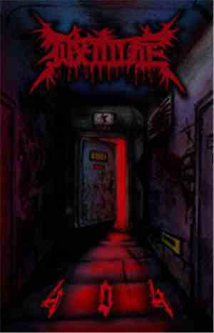 Septicaemia - 404