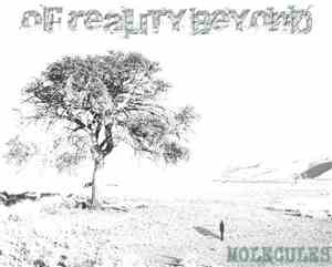 Of Reality Beyond - Molecules