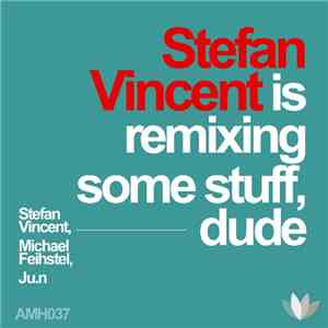 Various - Stefan Vincent Is Remixing Some Stuff, Dude
