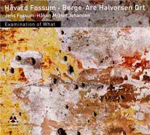 Håvard Fossum • Børge-Are Halvorsen Qrt - Examination Of What