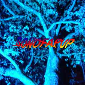 Sonofapup - sɜrbərəs