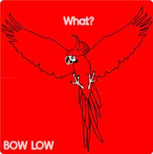 Bow Low - What?