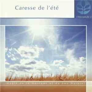 David Jacopin - Caresse De L’Été