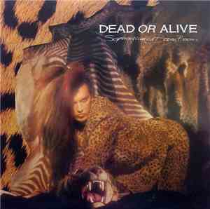 Dead Or Alive - Sophisticated Boom Boom