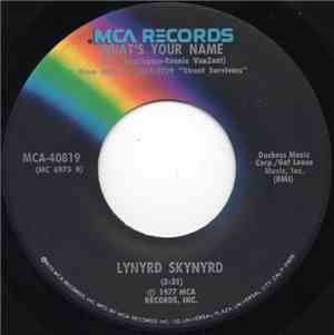 Lynyrd Skynyrd - What's Your Name