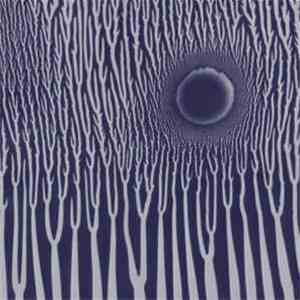 Sunn O))) - The GrimmRobe Demos