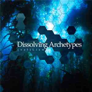 (val)Liam - Dissolving Archetypes