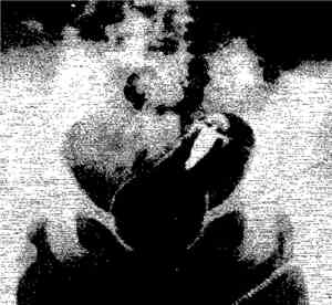 Slogun - Tearing Up Your Plans