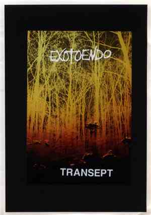 Exotoendo - Transept