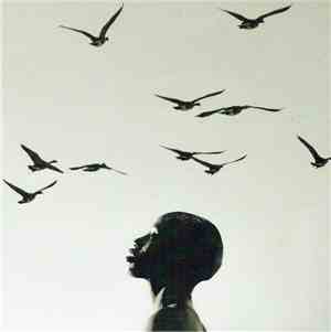 Island - Spotless Mind