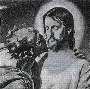 Perpetual Amnesia ////////////// Jesus Kills - Well Fuck You Too, God
