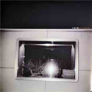 R.E.M. - Electrolite