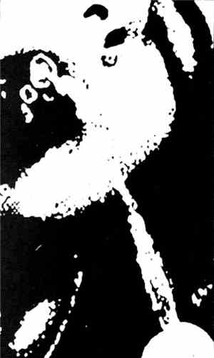 Super Eight Loop - Super Eight Loop 13
