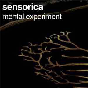 Sensorica - Mental Experiment