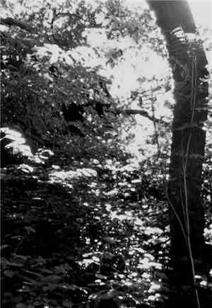 Social Drift / Thewhitehorse - Split