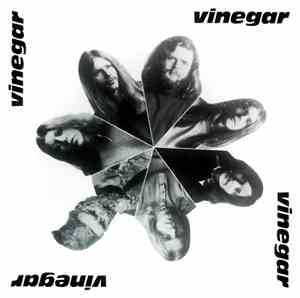 Vinegar  - Vinegar