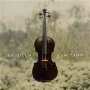 Saltillo - Ganglion