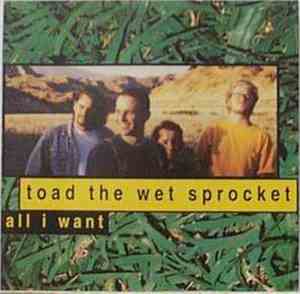 Toad The Wet Sprocket - All I Want