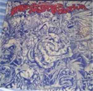 Various - Attitudine Mentale Positiva