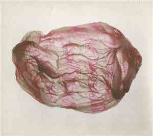 Susumu Yokota & Rothko - Distant Sounds Of Summer