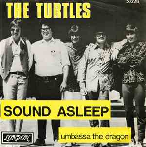 The Turtles - Sound Asleep