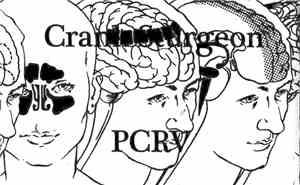 Crank Sturgeon, PCRV - Crank Sturgeon PCRV