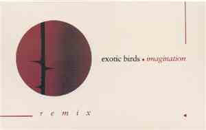 Exotic Birds - Imagination