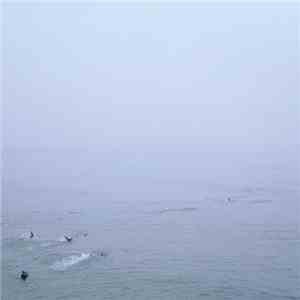 Growing - The Sky's Run Into The Sea